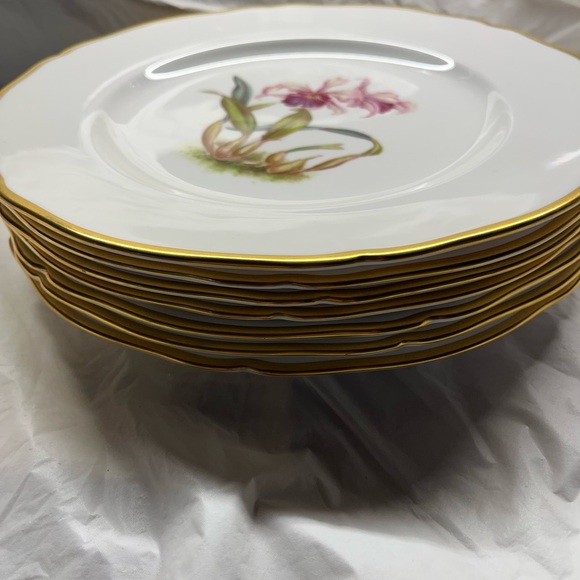 Elegant White and Gold Floral Dinner Plates